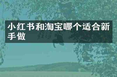 小红书和淘宝哪个适合新手做