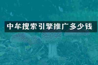 中牟搜索引擎推广多少钱
