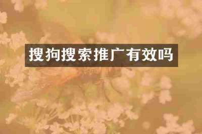搜狗搜索推广有效吗