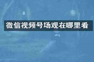 微信视频号场观在哪里看