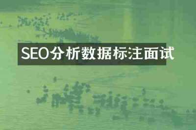 SEO分析数据标注面试