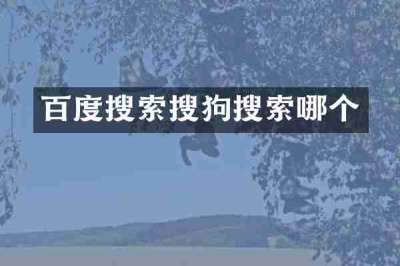 百度搜索搜狗搜索哪个