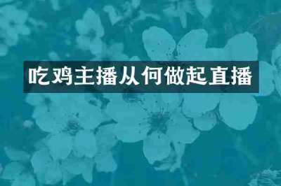 吃鸡主播从何做起直播