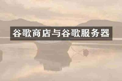 谷歌商店与谷歌服务器