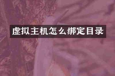 虚拟主机怎么绑定目录