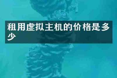 租用虚拟主机的价格是多少