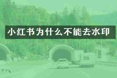 小红书为什么不能去水印