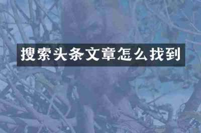 搜索头条文章怎么找到