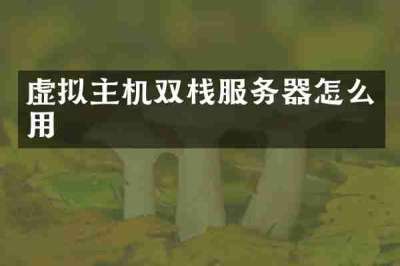 虚拟主机双栈服务器怎么用