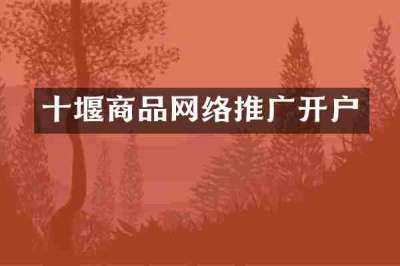 十堰商品网络推广开户