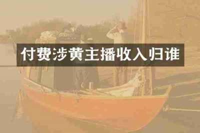 付费涉黄主播收入归谁