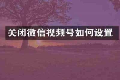 关闭微信视频号如何设置