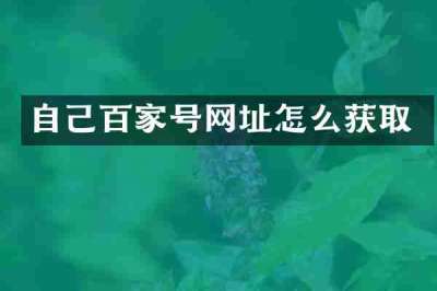 自己百家号网址怎么获取