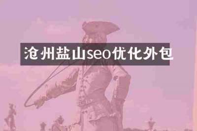 沧州盐山seo优化外包