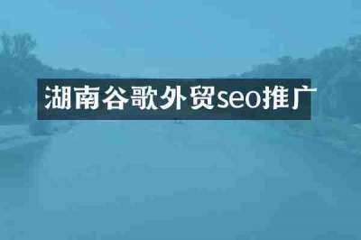 湖南谷歌外贸seo推广