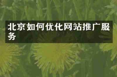 北京如何优化网站推广服务