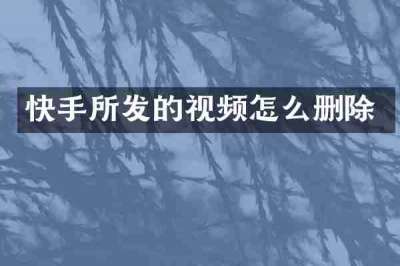 快手所发的视频怎么删除