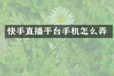 快手直播平台手机怎么弄