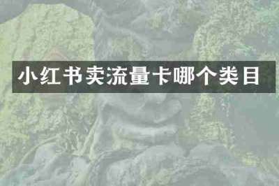 小红书卖流量卡哪个类目