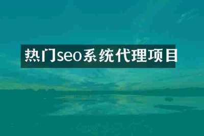 热门seo系统代理项目