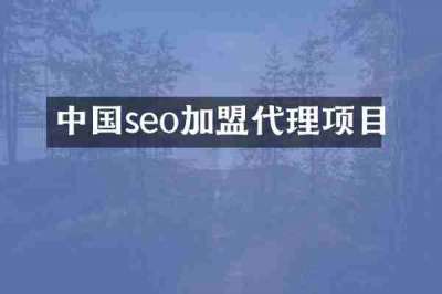 中国seo加盟代理项目