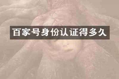 百家号身份认证得多久
