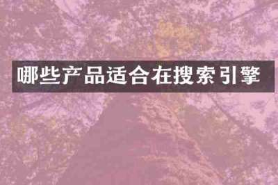 哪些产品适合在搜索引擎