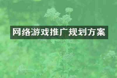 网络游戏推广规划方案