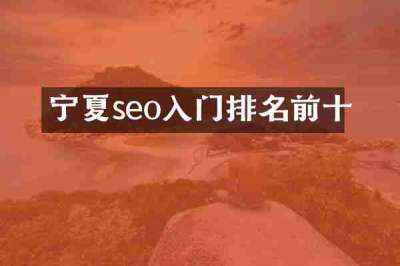 宁夏seo入门排名前十