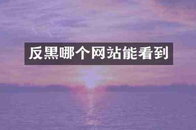 反黑哪个网站能看到