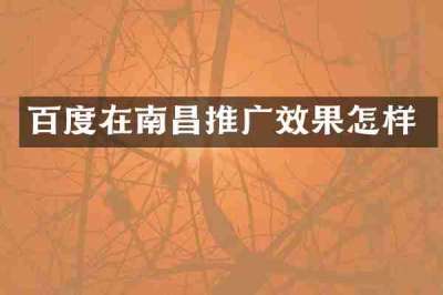 百度在南昌推广效果怎样