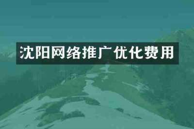 沈阳网络推广优化费用