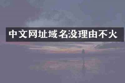 中文网址域名没理由不火