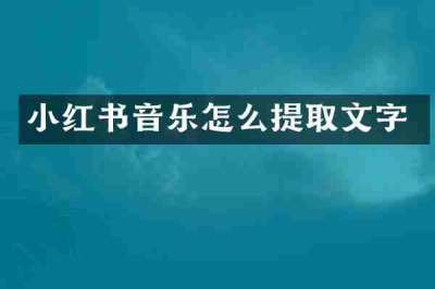 小红书音乐怎么提取文字