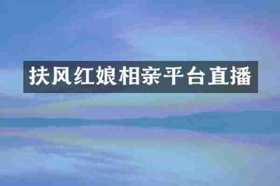 扶风红娘相亲平台直播
