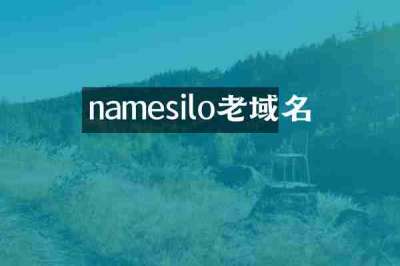 namesilo老域名