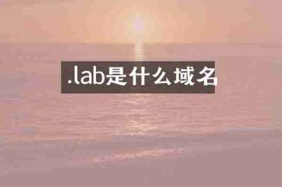 .lab是什么域名