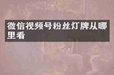 微信视频号粉丝灯牌从哪里看