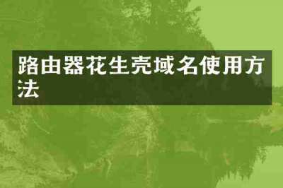 路由器花生壳域名使用方法
