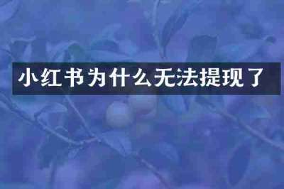小红书为什么无法提现了