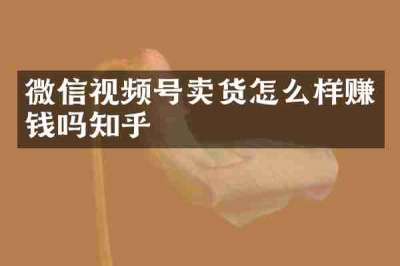 微信视频号卖货怎么样赚钱吗知乎