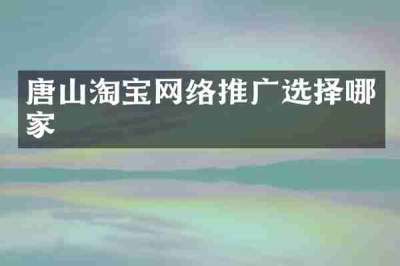 唐山淘宝网络推广选择哪家