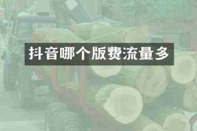 抖音哪个版费流量多