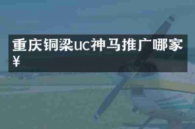 重庆铜梁uc神马推广哪家好