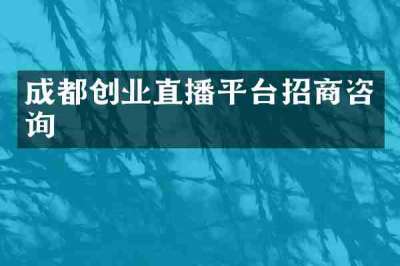 成都创业直播平台招商咨询
