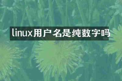 linux用户名是纯数字吗