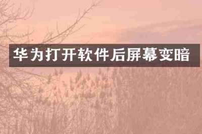 华为打开软件后屏幕变暗