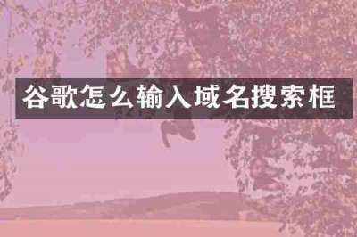谷歌怎么输入域名搜索框