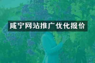 咸宁网站推广优化报价