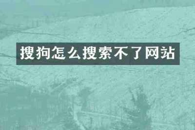 搜狗怎么搜索不了网站